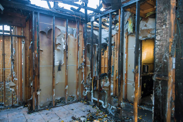 Professional Odor Removal technician working in Wareham Center, MA
